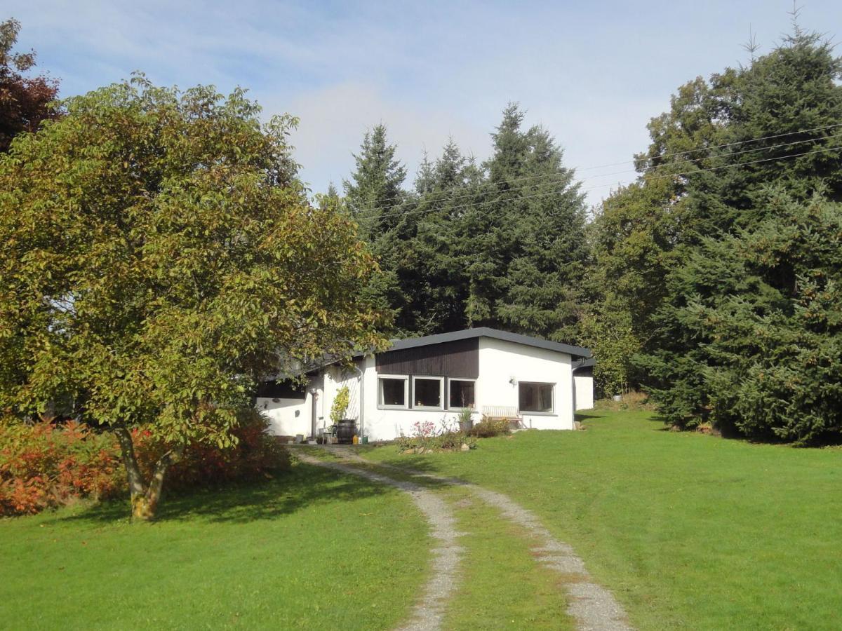 Holiday Home In Kleinich With Sauna المظهر الخارجي الصورة